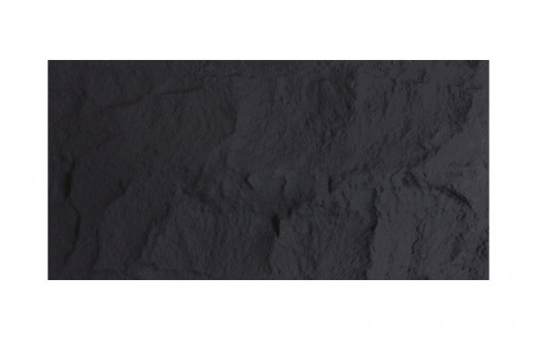 SS04-BC021